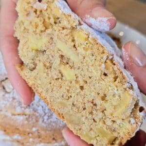 fetta di torta alle mele senza glutine