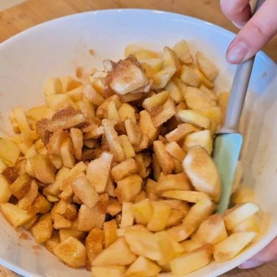 FOCACCIA-ALLE-MELE-SENA-GLUTINE-CELIACHIASTANCA-MELE-MESCOLATE